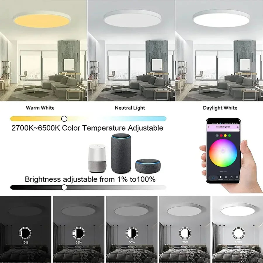 Tuya Smart WiFi LED Ceiling Light 220V with APP, Voice Control & Wireless Switch